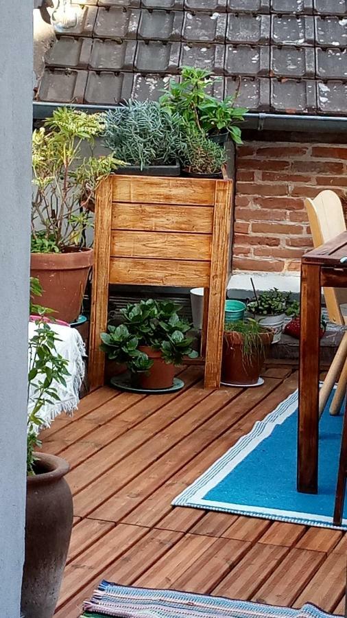 Appartement Cosy Et Chaleureux Saint-Arnoult-en-Yvelines Eksteriør billede